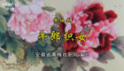 黄梅戏《牛郎织女》全场高清下载｜经典民间爱情传说，魏瑜遥等实力演绎