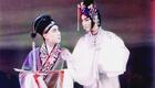 评剧《无双传》全剧下载 - 李忆兰、张德福主演唐代传奇经典戏曲资源 评剧《无双传》全剧下载 - 李忆兰、张德福主演唐代传奇经典戏曲资源