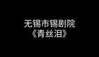 锡剧《青丝泪》全场高清下载｜陈云霞潘佩琼主演，冤冤相报悲剧全剧呈现