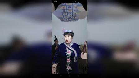 河南坠子《安南演义》韩淑英演唱，经典曲艺在线畅听