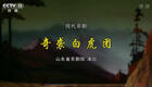 现代京剧《奇袭白虎团》全集高清下载，抗美援朝经典剧目，英雄事迹震撼呈现