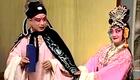 河北梆子《画皮》上集高清下载，赵爱池主演经