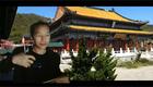 琴书《月唐传》六全集下载 - 丁舞王道兰经典演绎月唐英雄传奇 琴书《月唐传》六全集下载 - 丁舞王道兰经典演绎月唐英雄传奇