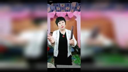 河南坠子《徐延忠搬兵》韩淑英演唱经典选段 大明英雄会精彩演绎
