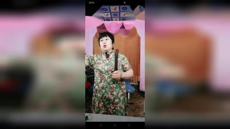 河南坠子《徐延忠搬兵》第九部 韩淑英经典演唱 大明英雄会精彩选段下载
