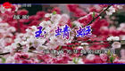 越剧《玉蜻蜓》全集高清下载｜经典传统剧目完整呈现，沉浸式感受戏曲魅力