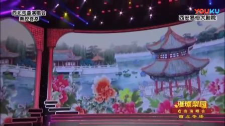 西北梅花奖联袂！秦腔《璀璨梨园》戏曲演唱会，解锁秦腔极致魅力，速来聆听！