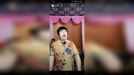 河南坠子《徐延忠搬兵》全集下载，韩淑英经典演唱，不容错过