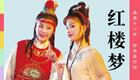 黄梅戏《红楼梦》全集下载 何云魏瑜瑶主演 经典戏曲资源一键获取