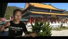 琴书《月唐传》廿一全集下载 - 经典戏曲资