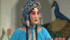 张火丁主演京剧《锁麟囊》全本下载，程派经典名剧在线获取