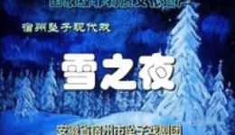 宿州坠子《雪之夜》在线观看下载，温情戏曲故下载