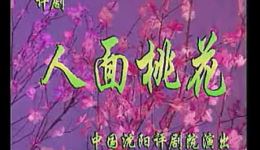 评剧《人面桃花》全剧高清下载 - 沈阳评剧院张丽静宫静主演