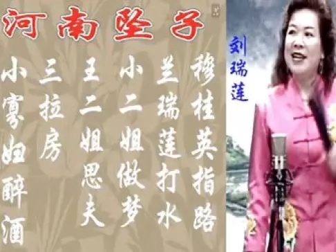 刘瑞莲倾情演唱河南坠子经典合集，穆桂英指路等多部佳作在线下载下载
