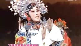 秦腔《斩秦英》全场高清下载 - 张伟领衔周至县张伟演艺公司经典演绎下载