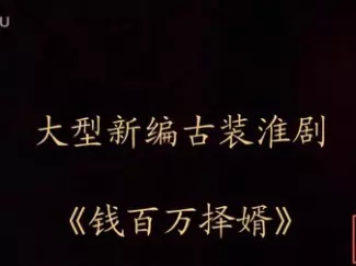 钱百万择婿