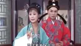黄梅戏《血泪帐本》全剧资源下载，经典戏曲全场完整呈现