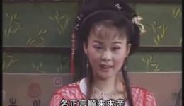 墙外小桃花