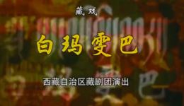 白玛雯巴