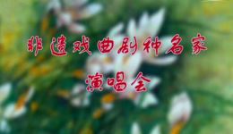 藏戏《甲鲁长调》选段在线下载，班典旺久精彩演绎，品味藏地文化精髓下载