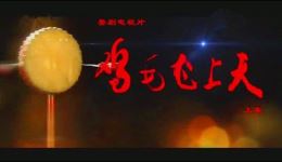 鸡毛飞上天