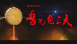 鸡毛飞上天