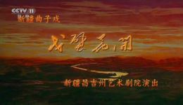 新疆曲子戏《戈壁花开》全集下载 | 邓金荣等主演 | 真实戈壁创业故事
