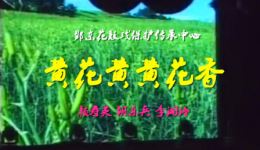 邵阳花鼓戏《黄花黄黄花香》高清下载 颜寿英胡乐兵主演 带字幕资源全收录下载
