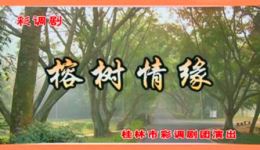 彩调剧《榕树情缘》徐东谢春艳主演 高清完整版戏曲资源在线下载 彩调剧《榕树情缘》徐东谢春艳主演 高清完整版戏曲资源在线下载