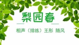 王彤随风刘道阳相声排练资源，梨园春相声排练精彩呈现，速来下载