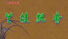 兰桂飘香