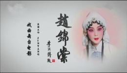 赵锦棠·朱痕记