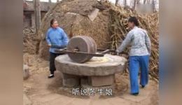 柳琴戏《十八岁大姐九岁郎》在线观看下载，春妞贾三诙谐故事，高清戏曲资源一键获取下载