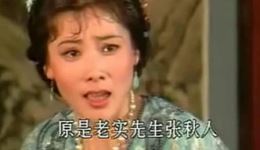 红丝错