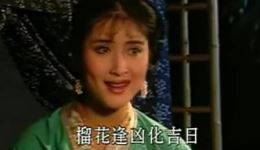 红丝错