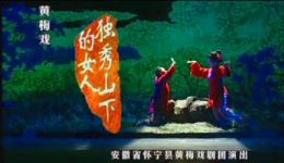 黄梅戏《独秀山下的女人》全集下载 - 刘丽华曹文娟黄鸿英主演经典剧目 黄梅戏《独秀山下的女人》全集下载 - 刘丽华曹文娟黄鸿英主演经典剧目