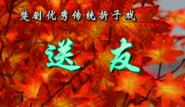 送友