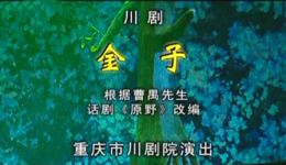 川剧《金子》全剧下载沈铁梅领衔主演,地道四川韵味经典戏曲资源 川剧《金子》全剧下载沈铁梅领衔主演,地道四川韵味经典戏曲资源