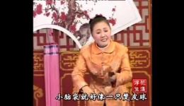 河南坠子《五二牛哭妻》莫红梅大师经典演唱，传统坠子名段在线下载