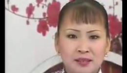 河南坠子《憨蛤蟆求雨》胡中花演唱，经典民间故事戏曲资源下载
