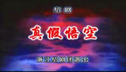 真假悟空