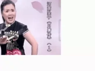 双枪老太婆劫囚车