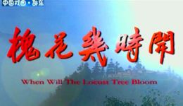川剧《槐花几时开》孙勇波王玉梅孙普协主演，经典艺术片在线下载，品味川剧韵味下载