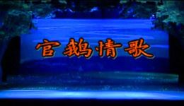 陇剧经典《官鹅情歌》全剧下载雷通霞边肖主演,爱情化解仇恨的传世佳作 陇剧经典《官鹅情歌》全剧下载雷通霞边肖主演,爱情化解仇恨的传世佳作