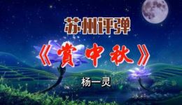 苏州评弹《赏中秋》杨一灵精彩演绎，经典唱段在线下载，领略传统曲艺中秋浪漫下载