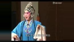 回龙传选段王花买父