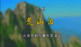 荒山泪