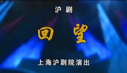回望