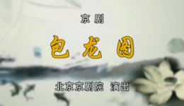 京剧《包龙图》李小培方旭等主演 经典包拯故事戏曲资源下载下载