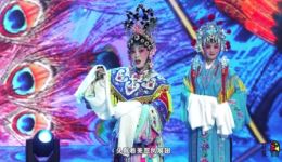 宛梆经典《打金枝》蔡桂梅主演，在线观看下载，领略传统戏曲魅力